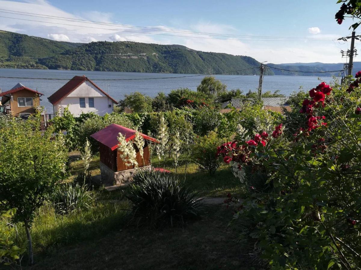 Villa Casa Melania à Ieşelniţa Extérieur photo