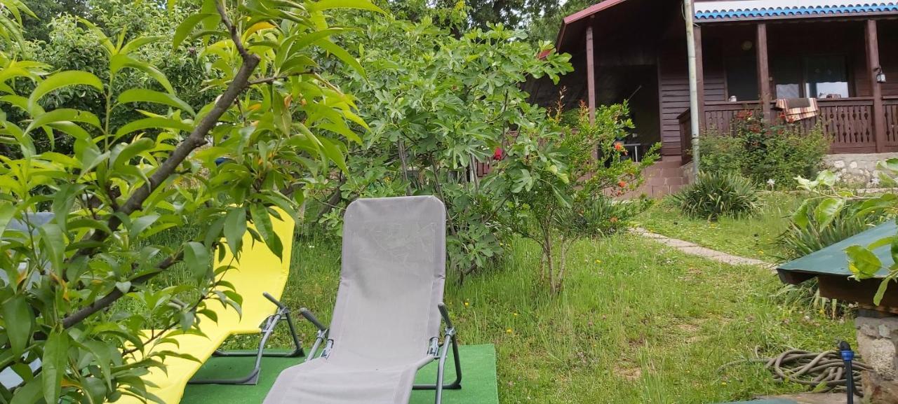 Villa Casa Melania à Ieşelniţa Extérieur photo